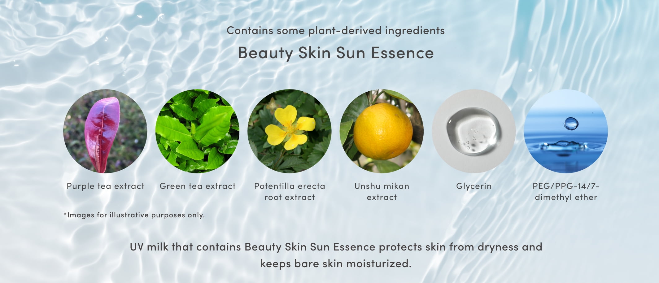 Contains some plant-derived ingredients Beauty Skin Sun Essence (moisturizing)