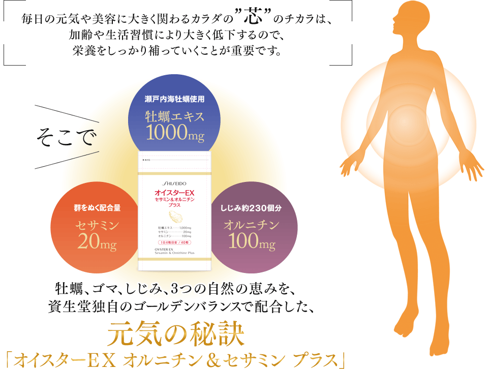 毎日の元気や美容に大きく関わるカラダの“芯”のチカラは、加齢や生活習慣により大きく低下するので、栄養をしっかり補っていくことが重要です。 牡蠣、ゴマ、しじみ、3つの自然の恵みを、資生堂独自のゴールデンバランスで配合した、元気の秘訣「オイスターEX オルニチン&セサミン プラス」