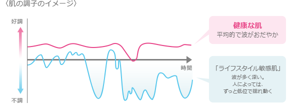 〈肌の調子のイメージ〉