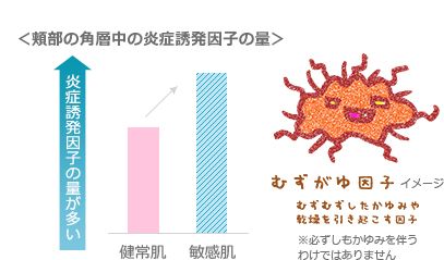 頬部の角層中の炎症誘発因子の量