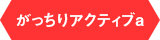 がっちりアクティブa