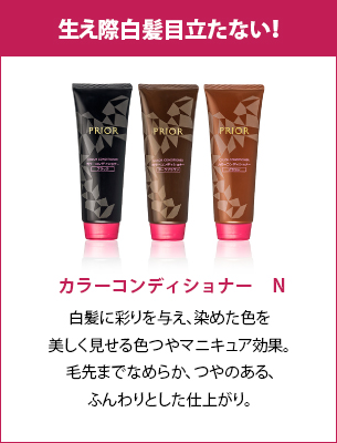 カラーコンディショナー　Ｎ