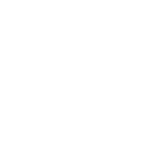 1.1(Mon) LIMITED