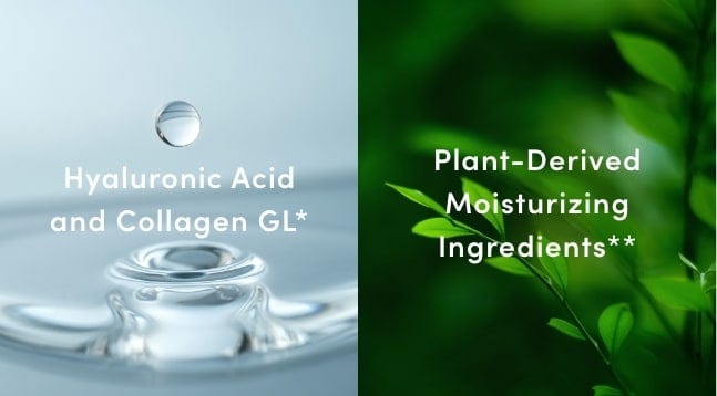 Hyaluronic Acid and Collagen GL* Plant-Derived Moisturizing Ingredients**
