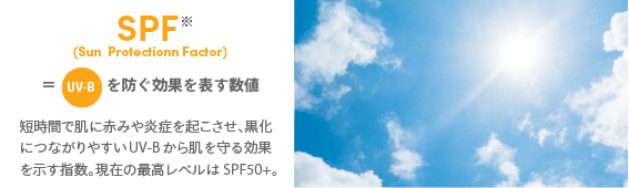 SPFとは、UV-Bを防ぐ効果を表す