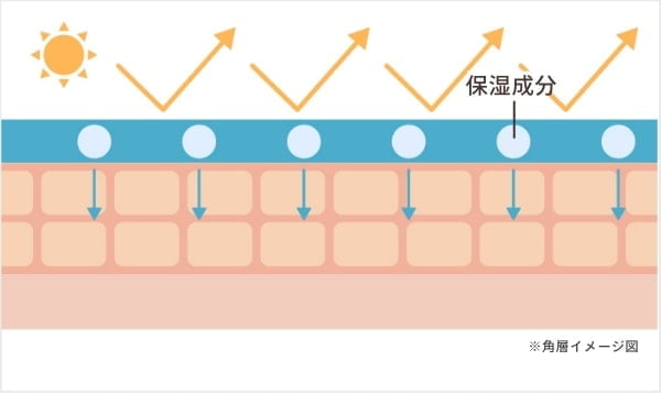 角層イメージ図