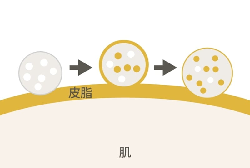 皮脂吸着パウダー配合のイメージ図