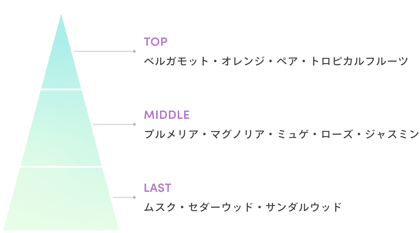 TOP　ベルガモット・オレンジ・ペア・トロピカルフルーツ　MIDDLE　プルメリア・マグノリア・ミュゲ・ローズ・ジャスミン　LAST　ムスク・セダーウッド・サンダルウッド