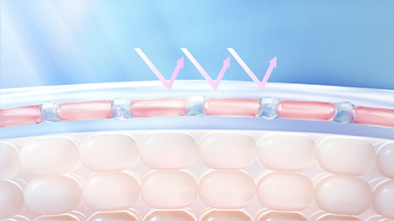UV保護ベールが密着するイメージ図