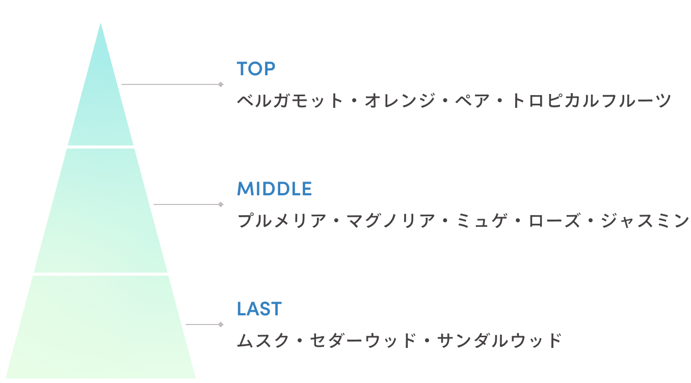TOP　ベルガモット・オレンジ・ペア・トロピカルフルーツ　MIDDLE　プルメリア・マグノリア・ミュゲ・ローズ・ジャスミン　LAST　ムスク・セダーウッド・サンダルウッド
