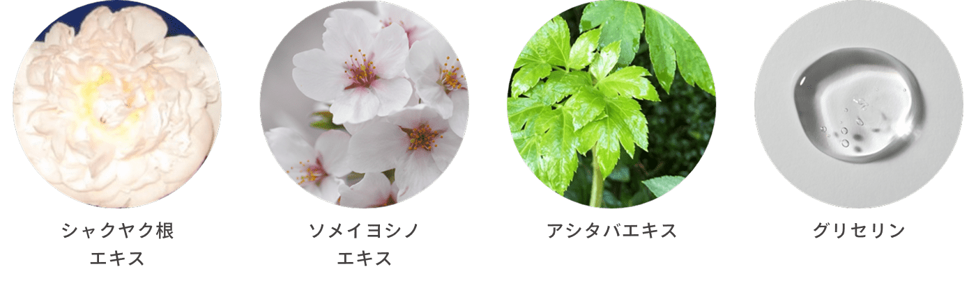 植物由来成分のイメージ