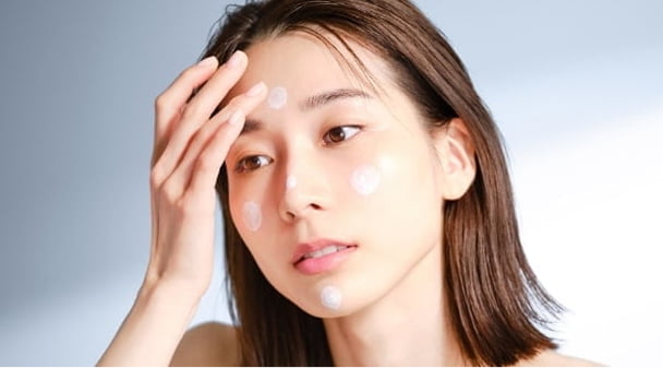 使用方法のイメージ図