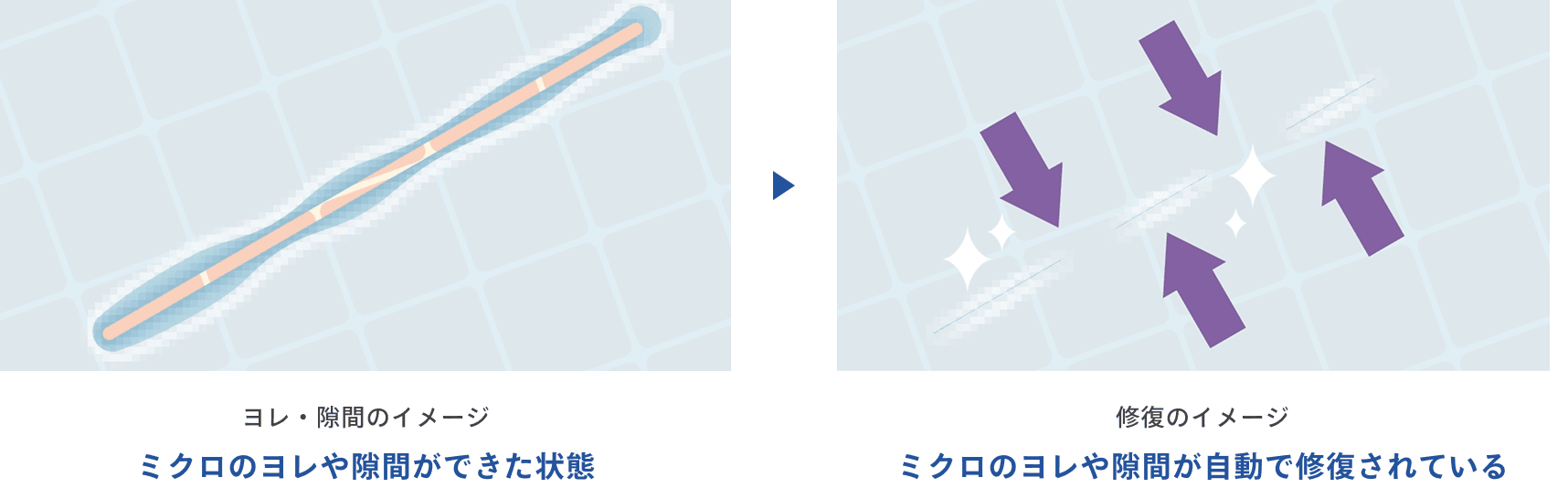 顕微鏡で見たときのイメージ図