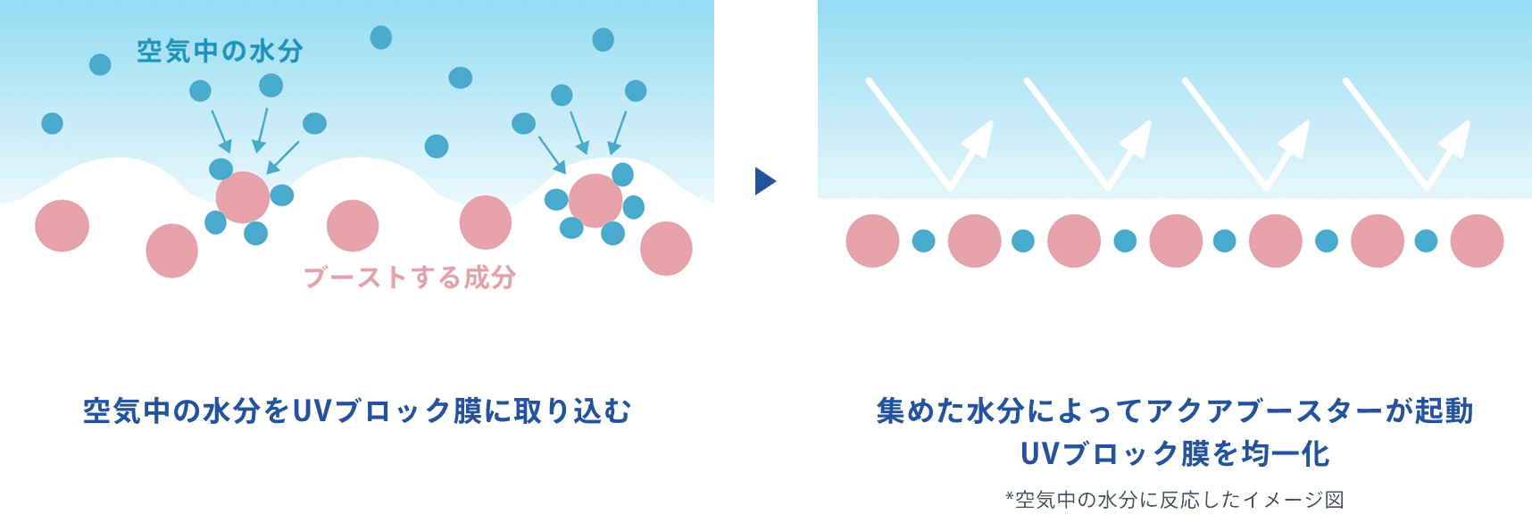 モデルのイメージ