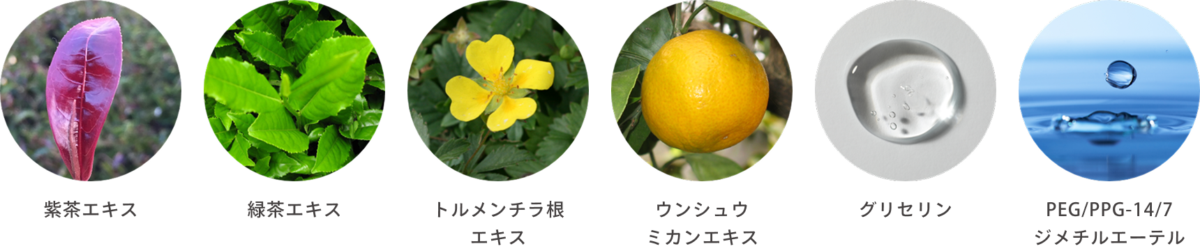 植物由来成分のイメージ