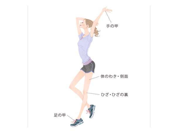使用方法のイメージ図