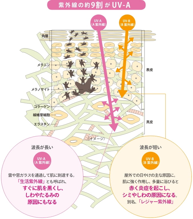シミの原因?UVAとUVBとは