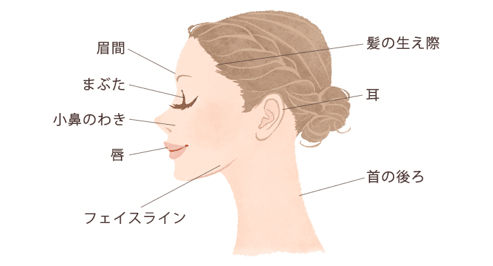 顔まわりで日焼け止めを塗り残しがちなのは、髪の生え際、耳、小鼻のわき、眉間、まぶた、フェイスライン、首の後ろ。そして意外な盲点が唇です。