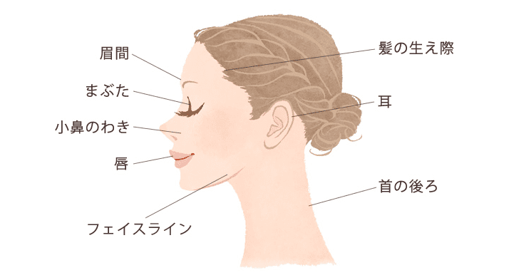 特に、髪の生え際やえり足、耳、小鼻のわき、 首の後ろは塗り残しがちなので、注意してください。