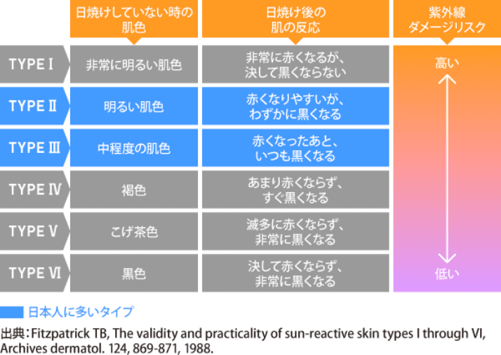 日焼けしていない時の肌色／日焼け後の肌の反応／紫外線ダメージリスク