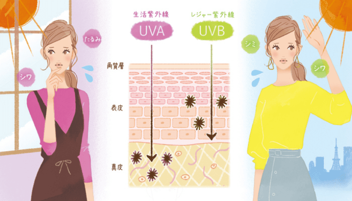 生活紫外線 UVA／レジャー紫外線 UVB