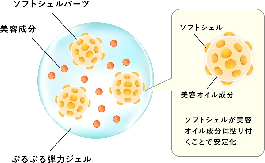 ソフトシェルが美容オイル成分に貼り付くことで安定化