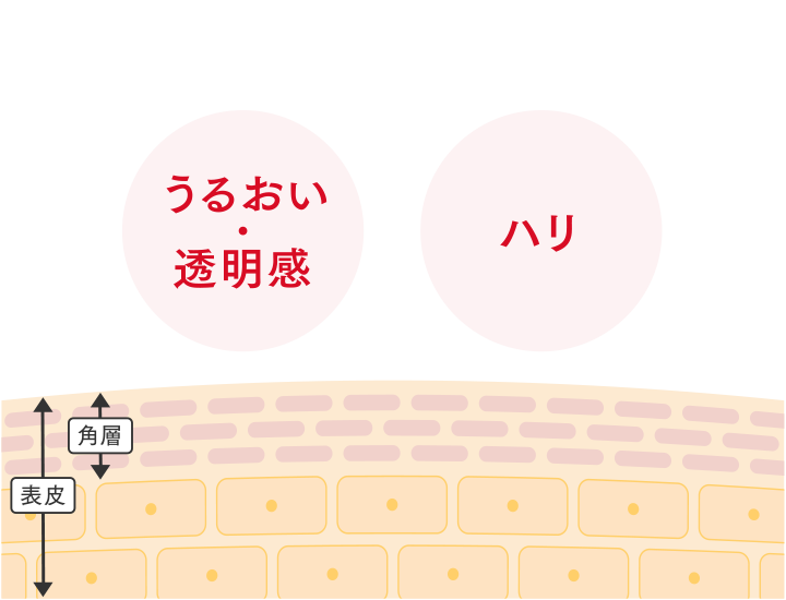 スペシャルジェルクリーム (モイスト)ポイントイメージ