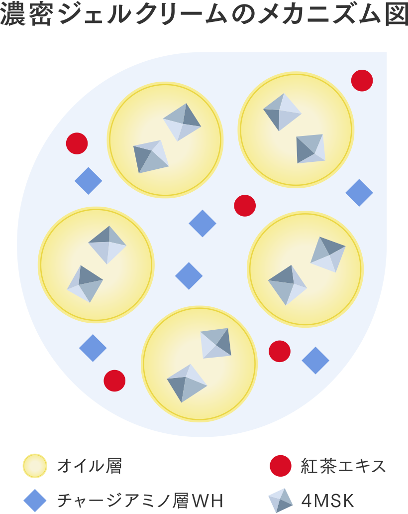 濃密ジェルクリームのメカニズム図