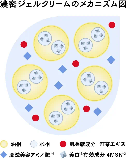 濃密ジェルクリームのメカニズム図