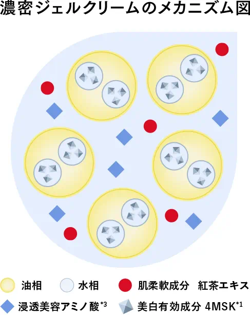 濃密ジェルクリームのメカニズム図