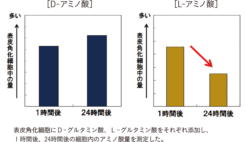 Dアミノ酸とは|資生堂Dアミノ酸ラボアクアレーベル(AQUALABEL)