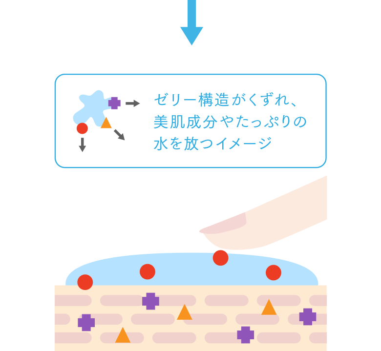 ゼリー構造進化イメージ