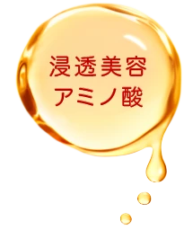 浸透美容アミノ酸