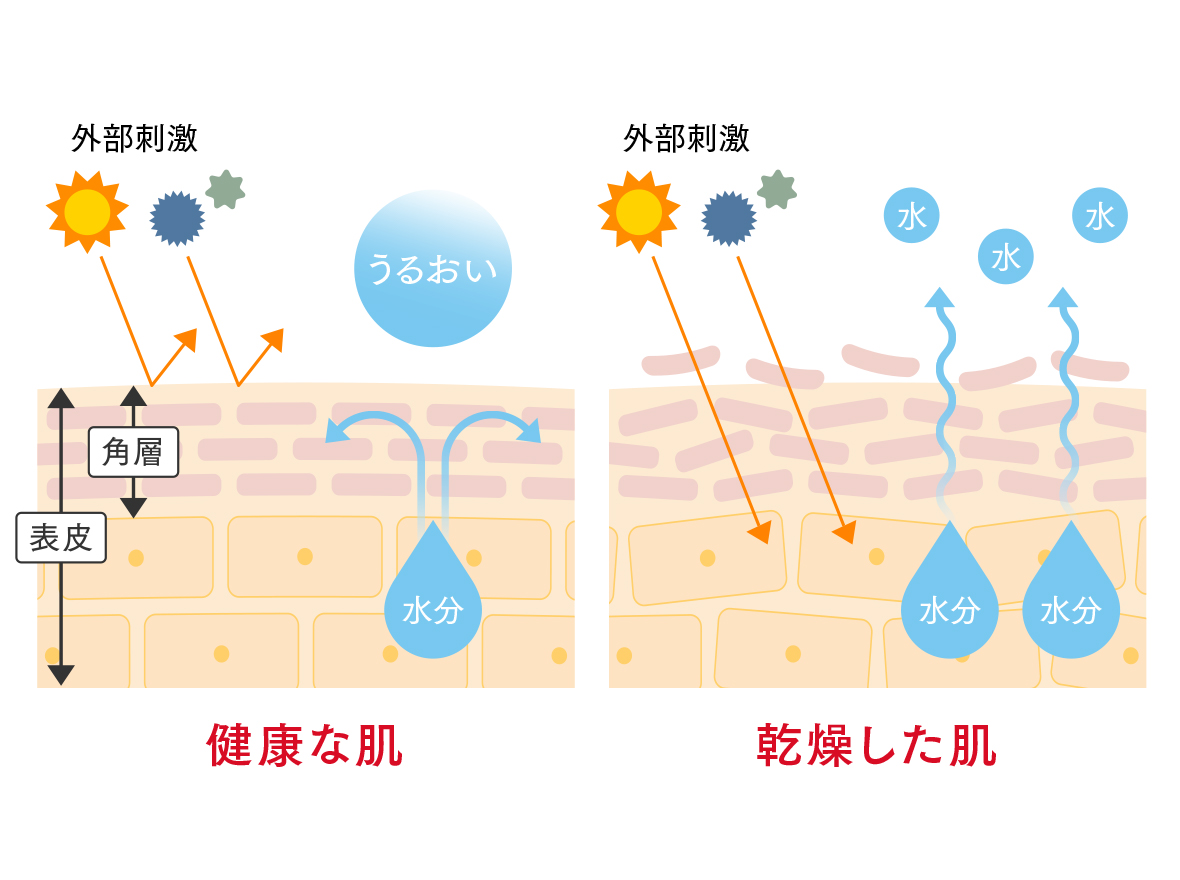 急激な湿度の低下で肌は乾燥状態に