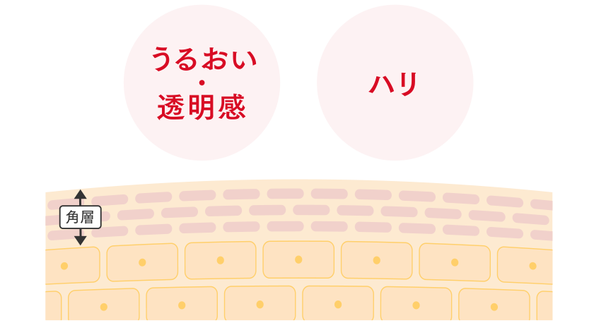 チャージアミノ酸イメージ