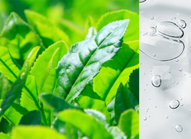 緑茶エキス・グリセリン