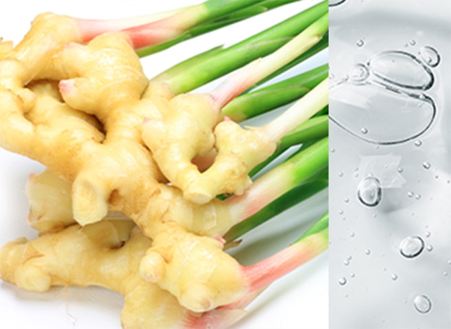 生姜エキス・グリセリン