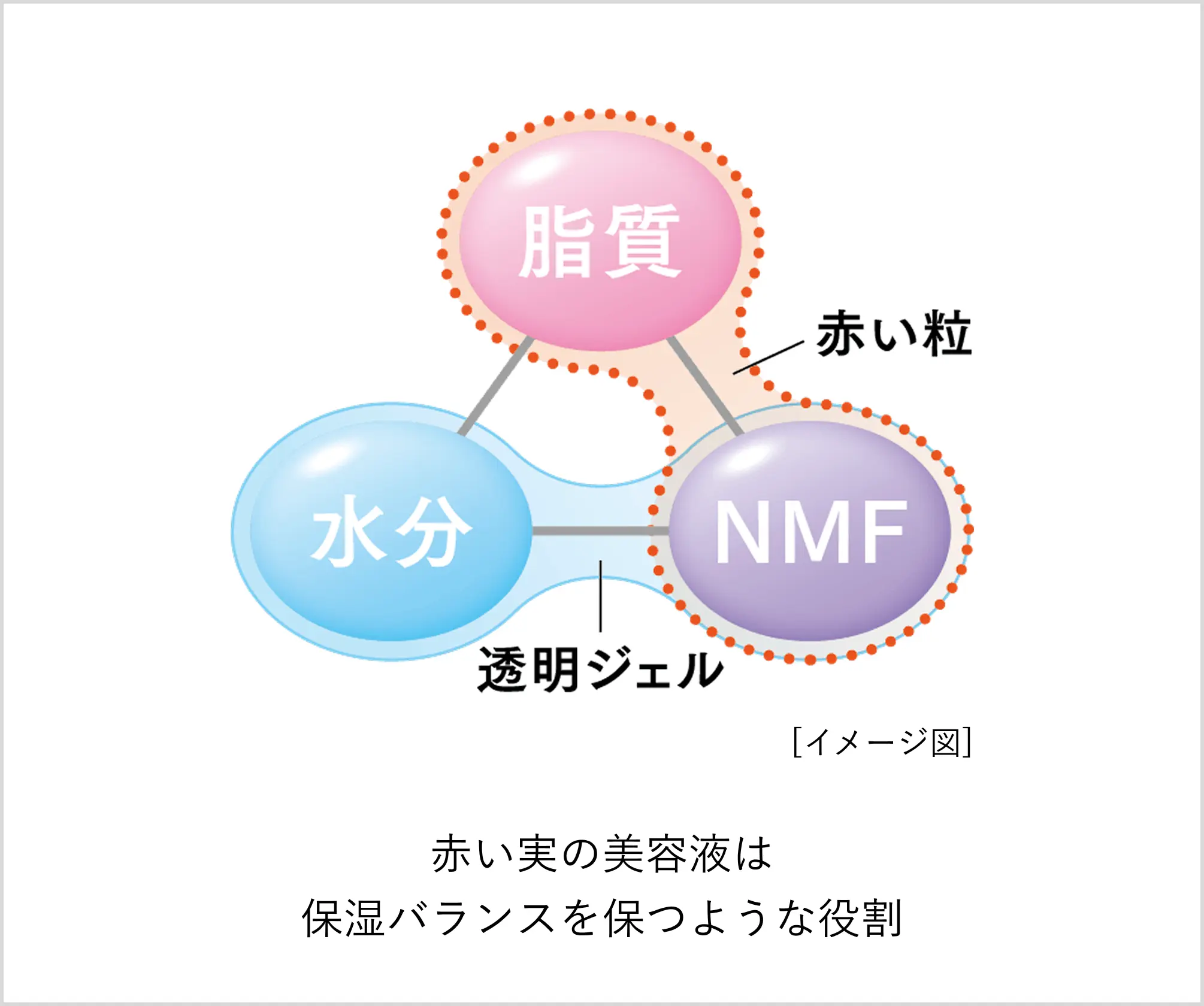 赤い実の美容液は保湿バランスを保つような役割