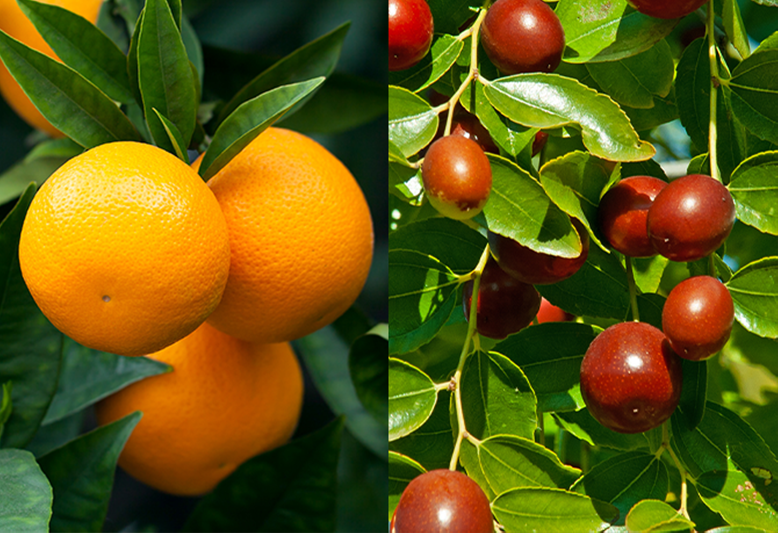 開催期間【第1弾:1/21〜2/28 】【第2弾:3/21〜5/11】ベネフィークのお気に入りポイントを募集