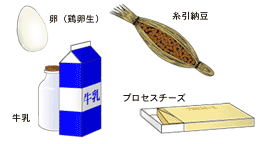 卵(鶏卵生)、糸引納豆、牛乳、プロセスチーズ