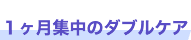 1ヶ月集中のダブルケア