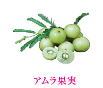 アムラ果実