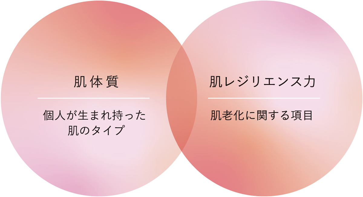 肌体質と肌レジリエンス力