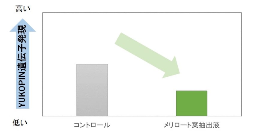 YUKOPIN遺伝子発現