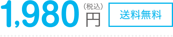 1,980円(税込)送料無料