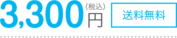 3,300円(税込)送料無料