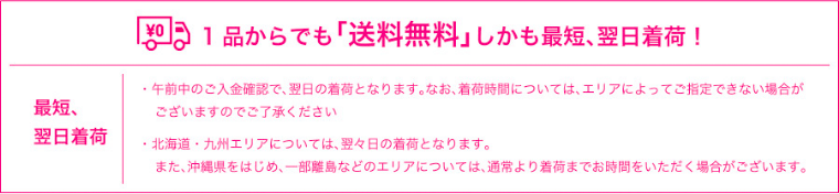 1品からでも「送料無料」しかも最短、翌日着荷!