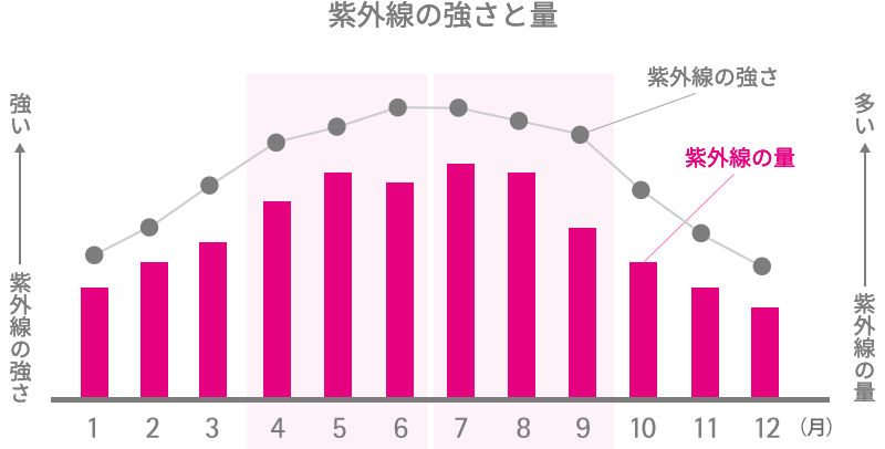 ご購入はこちら
