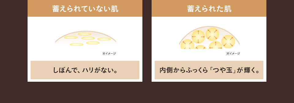 【蓄えられていない肌：しぼんで、ハリがない。】【蓄えられた肌：内側からふっくら「つや玉」が輝く。】