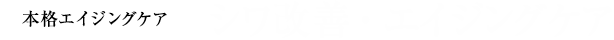 本格エイジングケア シワ改善・エイジングケア